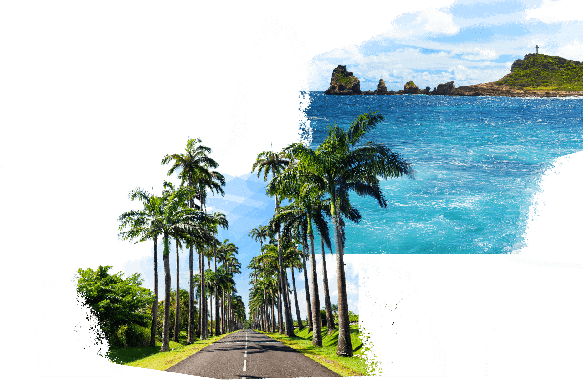 Illustration programme